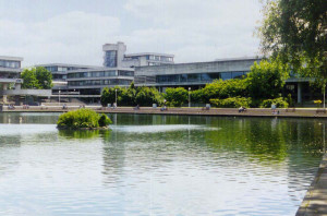 UCD